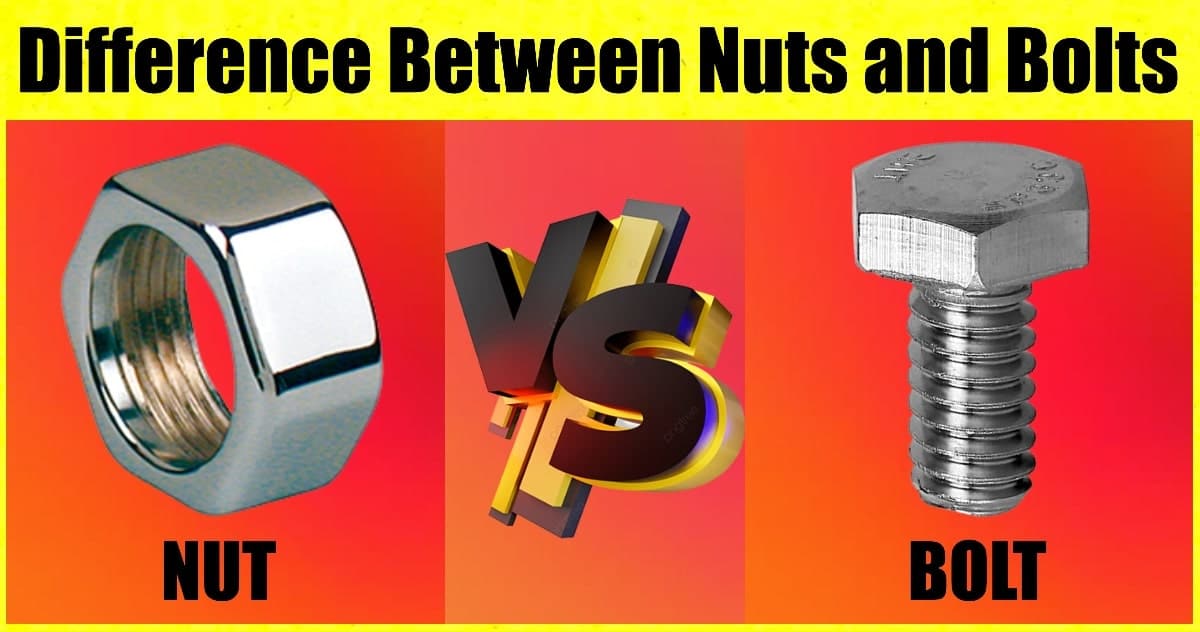 Nuts vs. Bolts